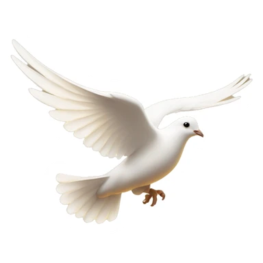 Flying white dove in golden light  sticker