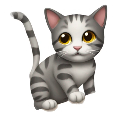 Gatto su uno scaffale  sticker