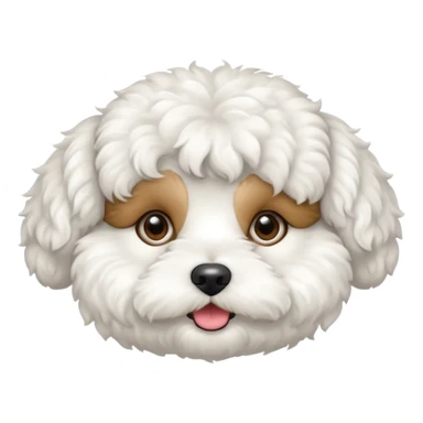 Bichon frise sticker