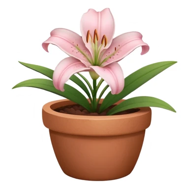 light pink lily in a clay pot sticker