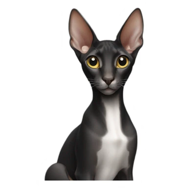 Black oriental shorthair sticker
