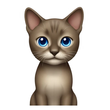 Dark Brown face - beige body female thai cat with blue eyes  sticker