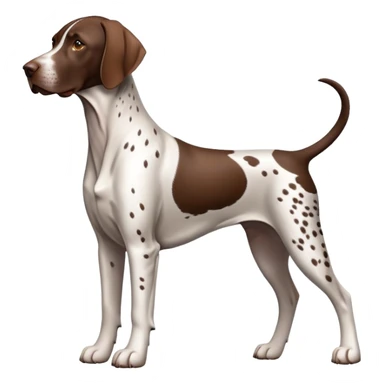 German Shorthaired Pointer Dog Breed Full Body sticker