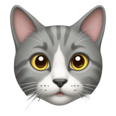 Grey cat with heart shaped nose sticker