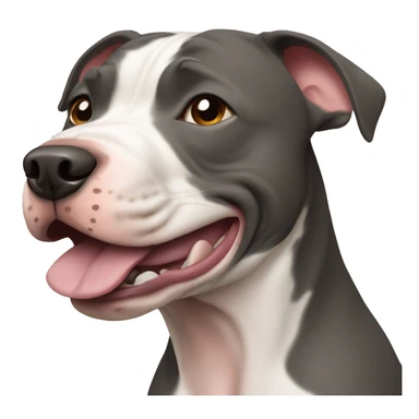 Pitbull dog sticker