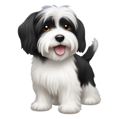 Black and white Havanese dog sticker