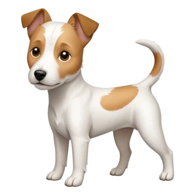 a full body white parson russell looking dog the size of a kelpie with light brown ears and a light brown patch on one eye and a large snout sticker