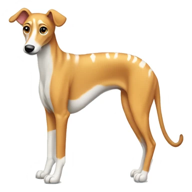 Fawn tiger greyhound sitting sticker