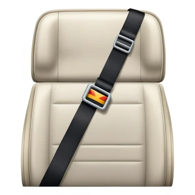 plane seat belt sticker