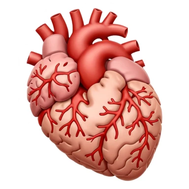 brain heart sticker
