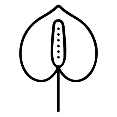 anthurium flower, top view, minimal line art, elegant and simple sticker