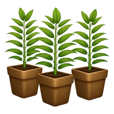 plantas abundantes tipo helecho en macetas rectangulares color café sticker