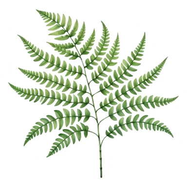 A close-up of a fern plant with intricate leaves, painted in soft watercolor greens with a subtle textured background.
 sticker