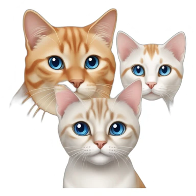 three cats, one lynx point siamese cat with blue eyes, one orange and white tabby cat, and one all orange cat with orange eyes sticker
