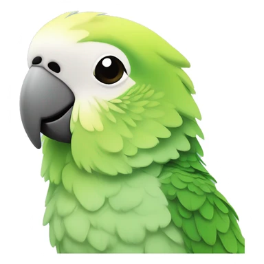 ￼ Parakeet ￼ sticker