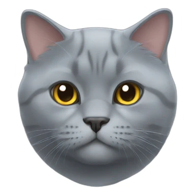 british shorthair blue cat sticker