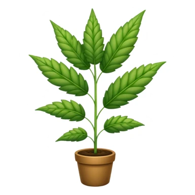 weed plant sticker