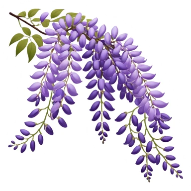 Japanese style wisteria (fuji) flower in elegant ukiyo-e inspired design, cascading purple blooms hanging like in traditional Japanese gardens, with gentle curved lines sticker