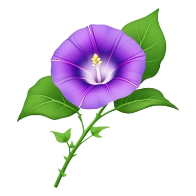 single purple Morning Glorysuper, stem sticker