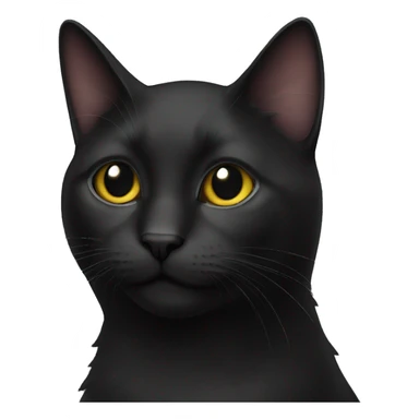 J4 black cat sticker
