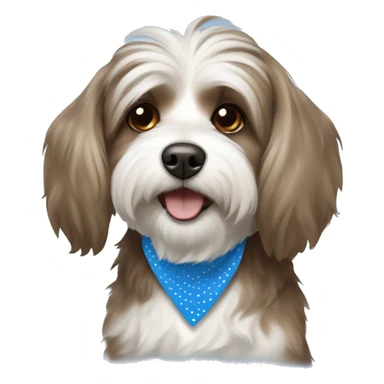 Havanese Brown and white dog wearing a blue polka dots bandana sticker
