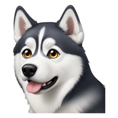 husky with heterochromia sticker