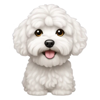 White curly maltipoo sticker