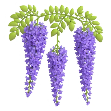 Realistic hanging wisteria racemes with detailed grape-like clusters of lavender flowers cascading downward, accompanied by light green compound leaves sticker