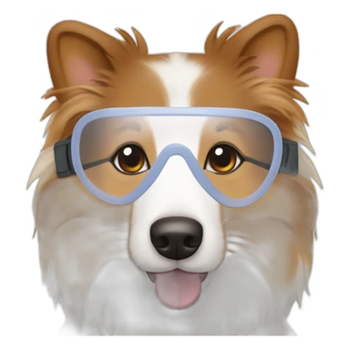 Tricolore Shetland sheepdog wearing chirurgical mask on mouth sticker