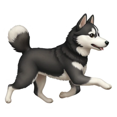 a black and white husky dog running towards the left facing left side profile sticker