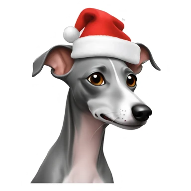grey italian greyhound with santa hat sticker