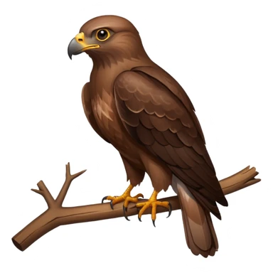 common brown buzzard sticker