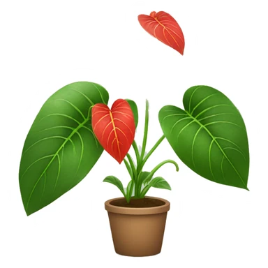 Anthurium plant sticker