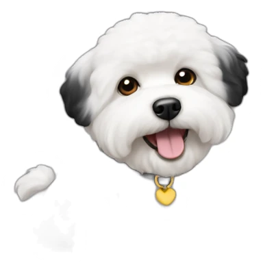 bichon-havanais-black-half-white-head sticker