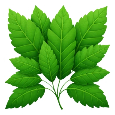 Leaves  sticker