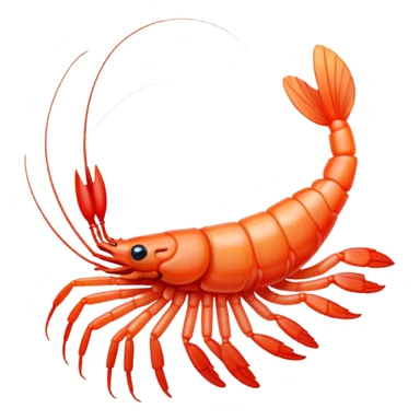 a shrimp studying the program code a shrimp studying the program code sticker