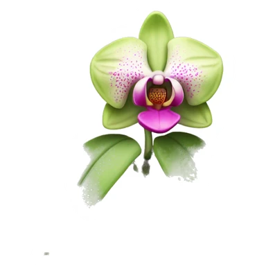green-pink orchid flower sticker
