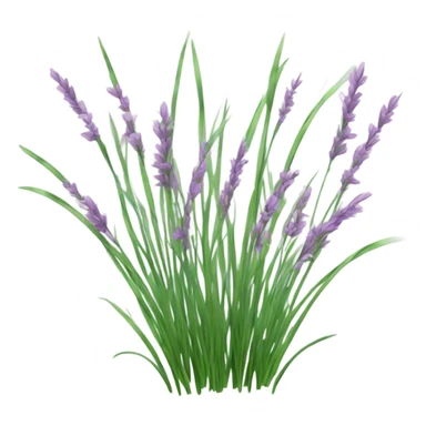 Orchard Grass sticker