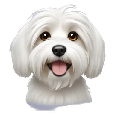 White Havanese dog  sticker