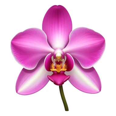 exquisite-phalaenopsis-moth-orchid-with-pure-white-petals-and-subtle-pink-center sticker