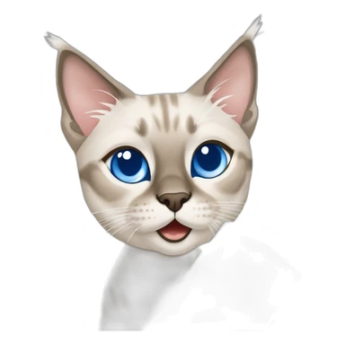 lynx point siamese cat with blue eyes playing with roll of white paper towels sticker