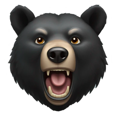 The fierce expression of a black bear  sticker