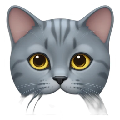 British Shorthair Blue Cat sticker