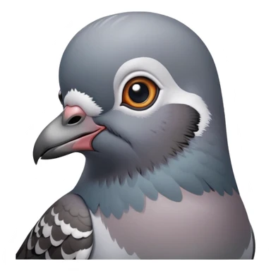 pigeon says okay. sticker