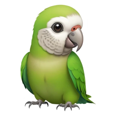 Monk parakeet sticker