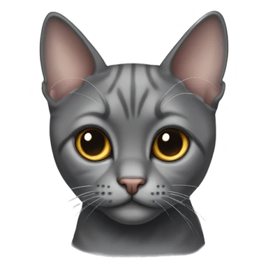 Dark gray scotish fold with ears cat and colour point cat sticker