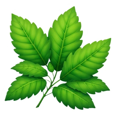 photo nature sticker