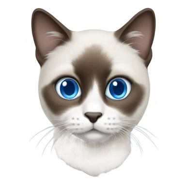 snowshoe cat blue eyes, darker face sticker