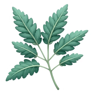 clary sage plant leaves in bluey green colour sticker