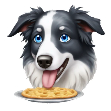 Blue eyes Seal merle Border collie eating sticker